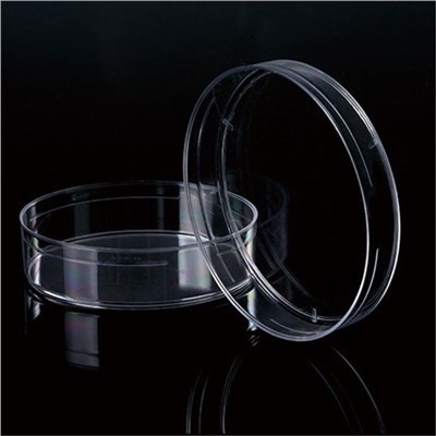 طبق بيتري الزجاجي العالمي